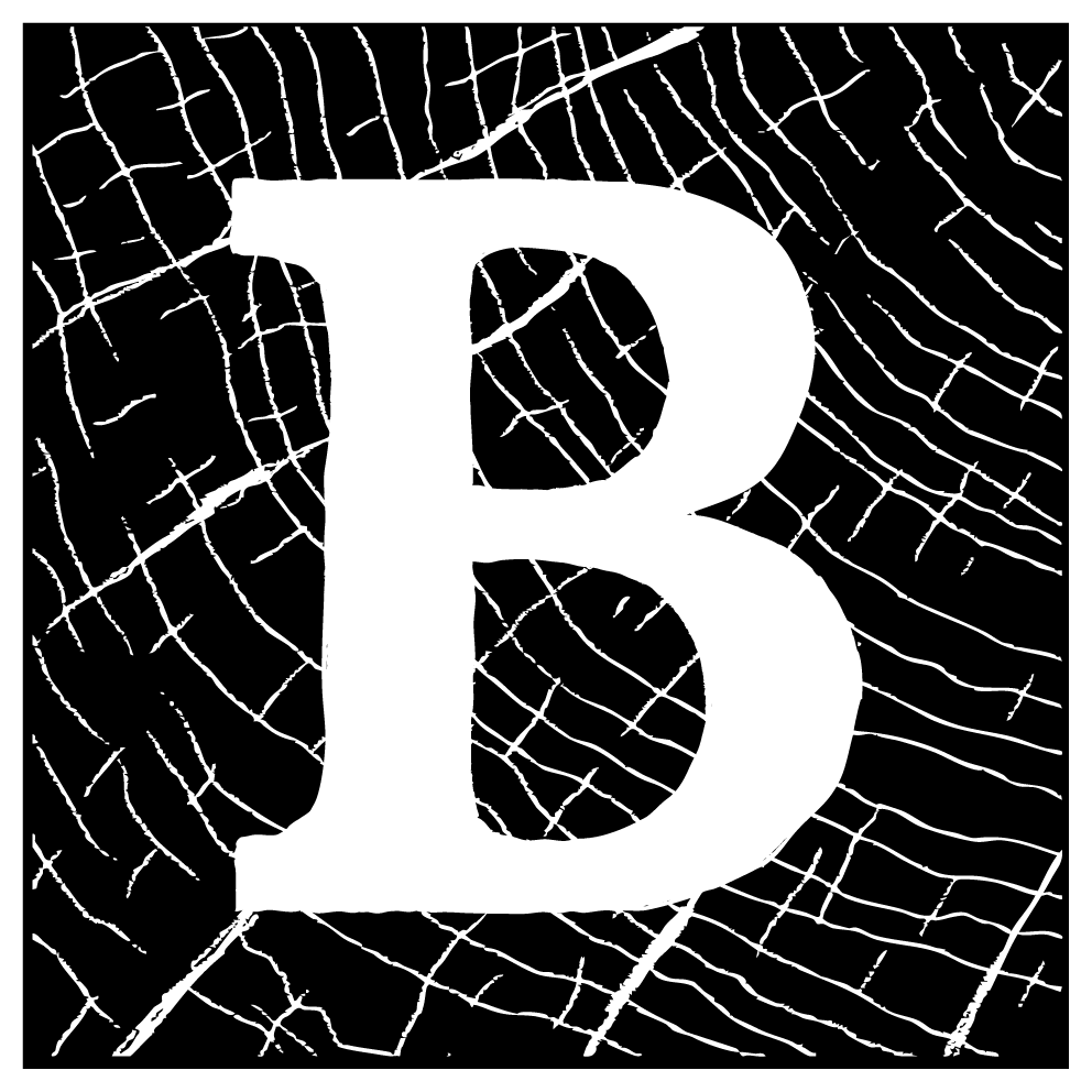 Blevins Architecture logo